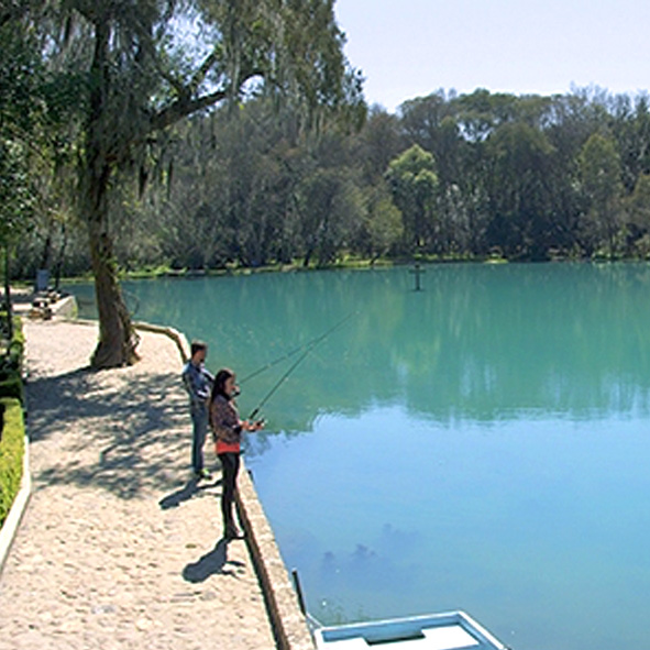 Parque Ecoturístico Bosque de las Truchas 